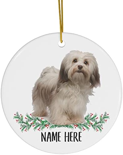 שם מותאם אישית מצחיק כלב הוואני מתנות חומות לבנות 2023 קישוטי עץ חג המולד מעגל קרמיקה