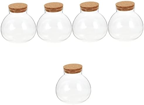 חריץ 5 יחידות צמחים מעצבים מיכלי זכוכית מיני מכולות מיני זכוכית בקבוק אקולוגי בקבוק אחסון בקבוק זכוכית