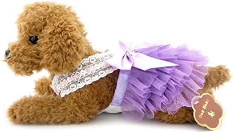 רנפי קטן כלב / חתול טוטו צ ' יוואווה חתונה שמלת לחיות מחמד נסיכת טוטו שמלת לחיות מחמד מסיבת חצאיות עם